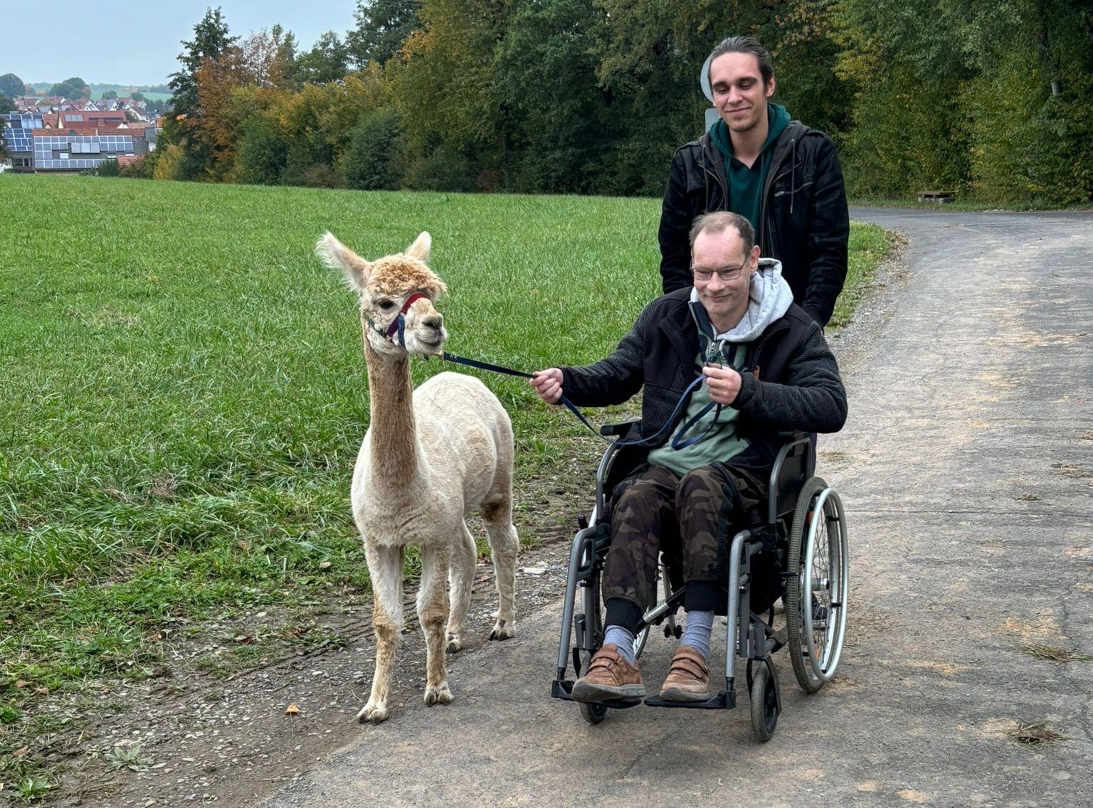 Featured image for “Alpakawanderung nach Reichenbach”