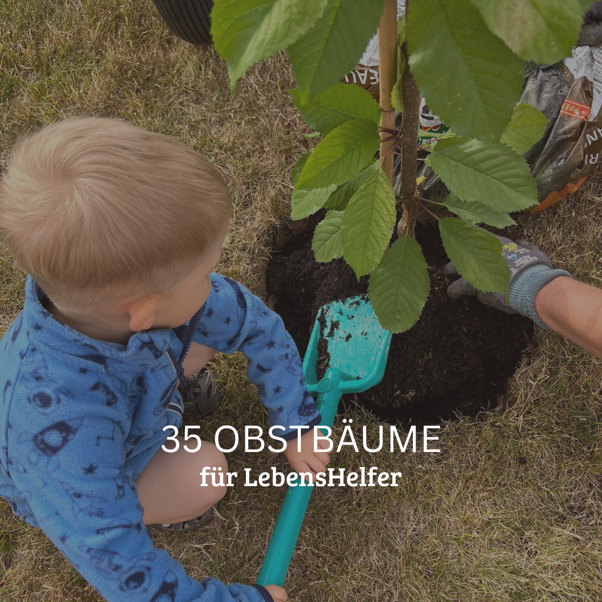 Featured image for “35 Obstbäume wachsen weiter – Rückblick zum Tag des Baumes bei der Lebenshilfe Südthüringen”