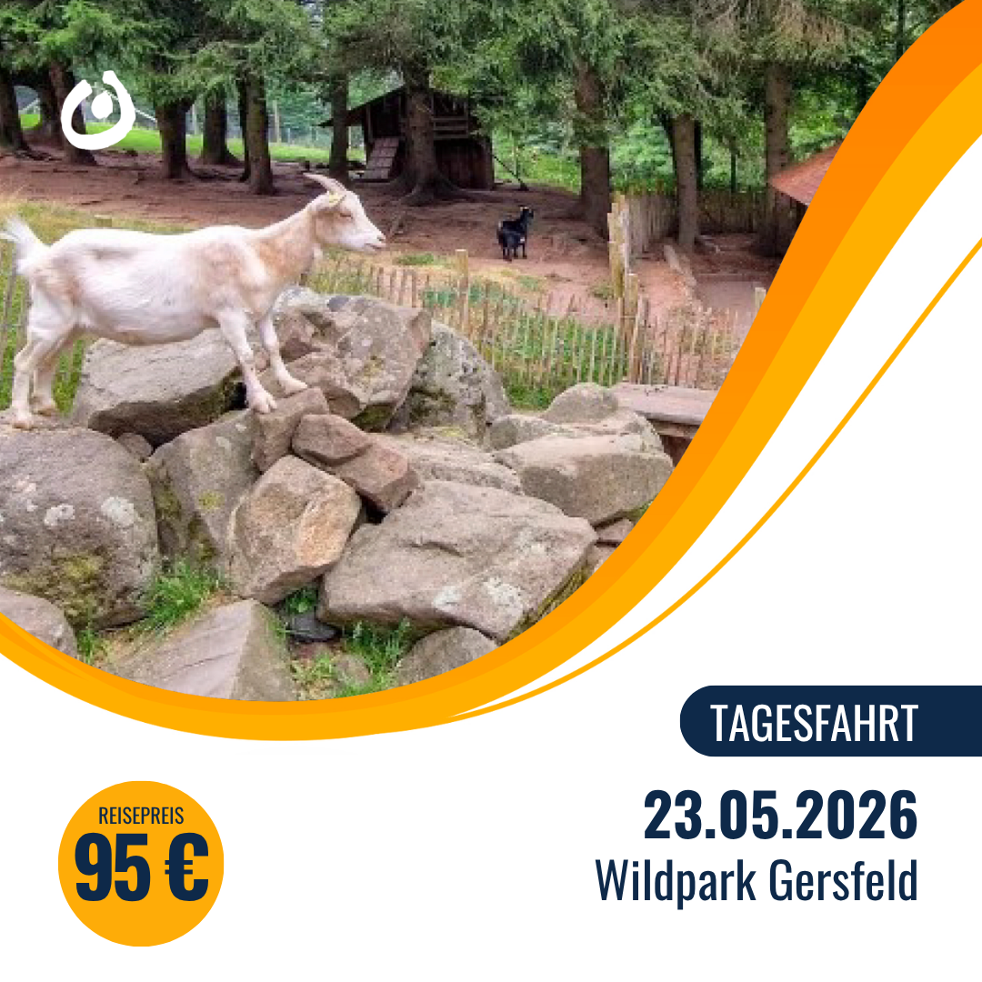 Featured image for “Lebenshilfe Reisen bietet Tagesausflug in den Wildpark Gersfeld – jetzt anmelden”