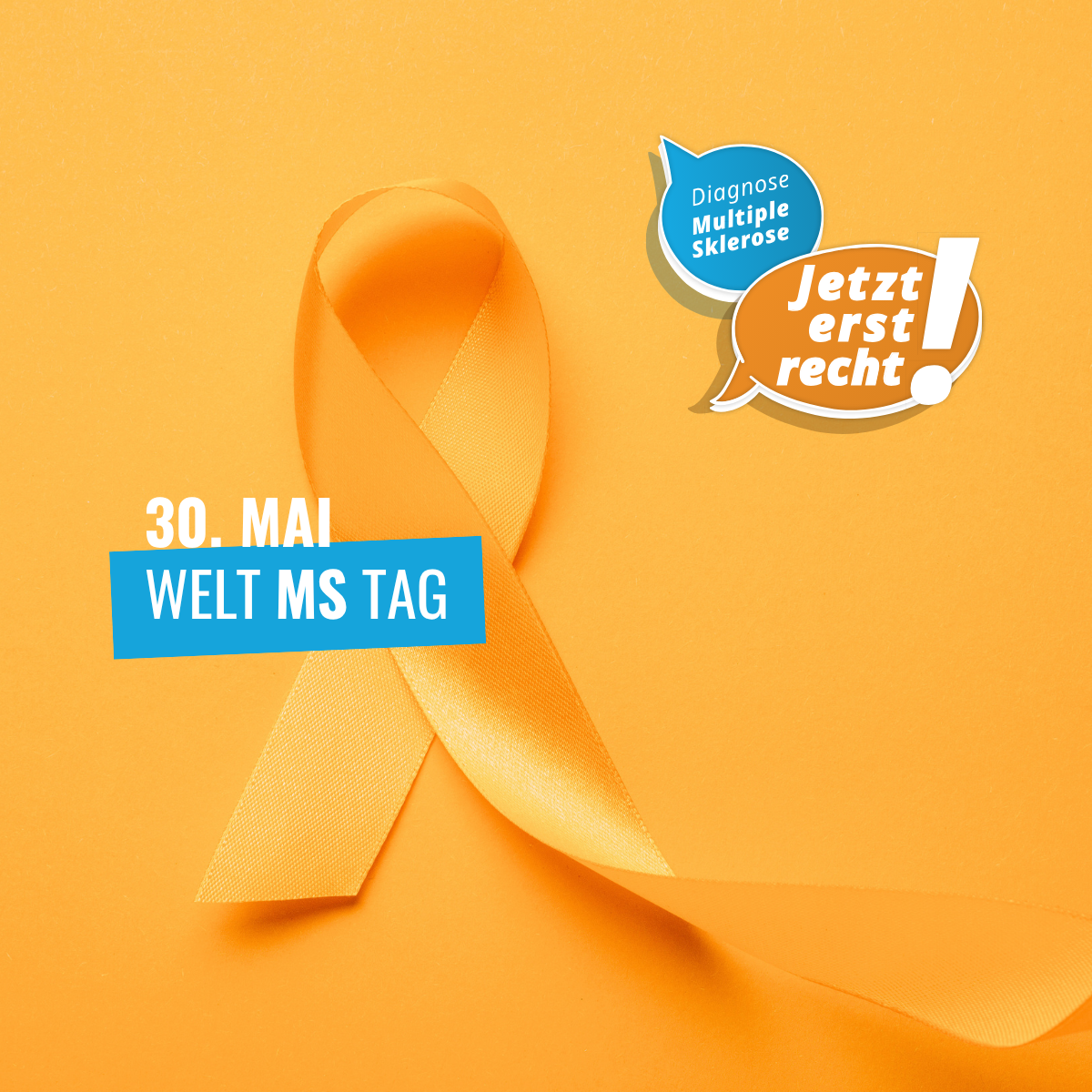 Featured image for “Welt-MS-Tag 2026: „Diagnose MS! Jetzt erst recht!“”