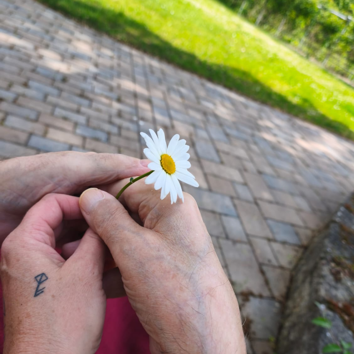 Featured image for “Gartenfreude und Stadtausflug im Haus LebensWert”