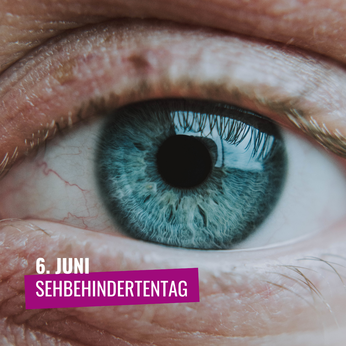 Featured image for “Sehbehindertentag 2026: Kochen, Alltag und echte Teilhabe”
